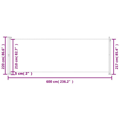 Tenda Laterale Retrattile per Patio 220x600 cm Nera - homemem39
