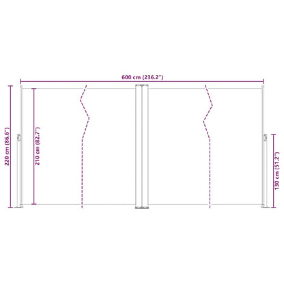 Tenda da Sole Laterale Retrattile Marrone 220x600 cm - homemem39