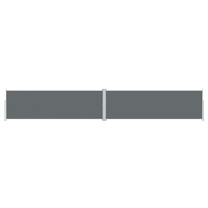 Tenda Laterale Retrattile Antracite 160x1000 cm | homemem39