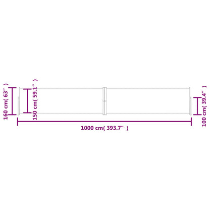 Tenda Laterale Retrattile Antracite 160x1000 cm | homemem39