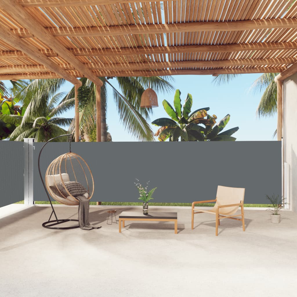 Tenda Laterale Retrattile Antracite 160x1000 cm | homemem39