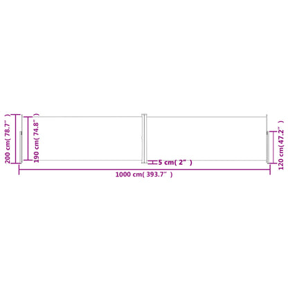 Tenda da Sole Laterale Retrattile Antracite 200x1000 cm - homemem39