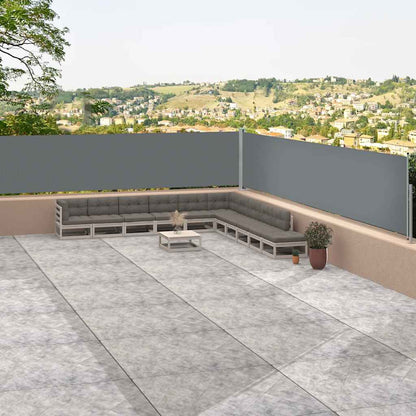Tenda Laterale Retrattile Antracite 117x1200 cm - homemem39
