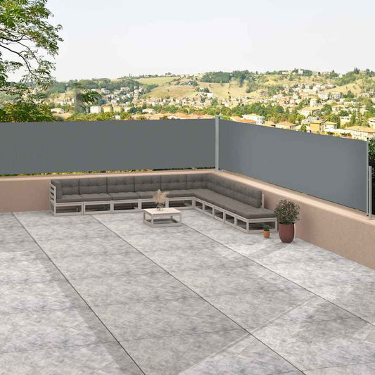 Tenda Laterale Retrattile Antracite 117x1200 cm - homemem39