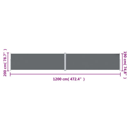 Tenda da Sole Laterale Retrattile Antracite 200x1200 cm - homemem39