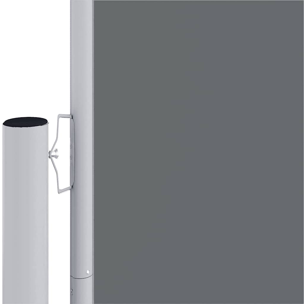 Tenda da Sole Laterale Retrattile Antracite 220x1200 cm | homemem39