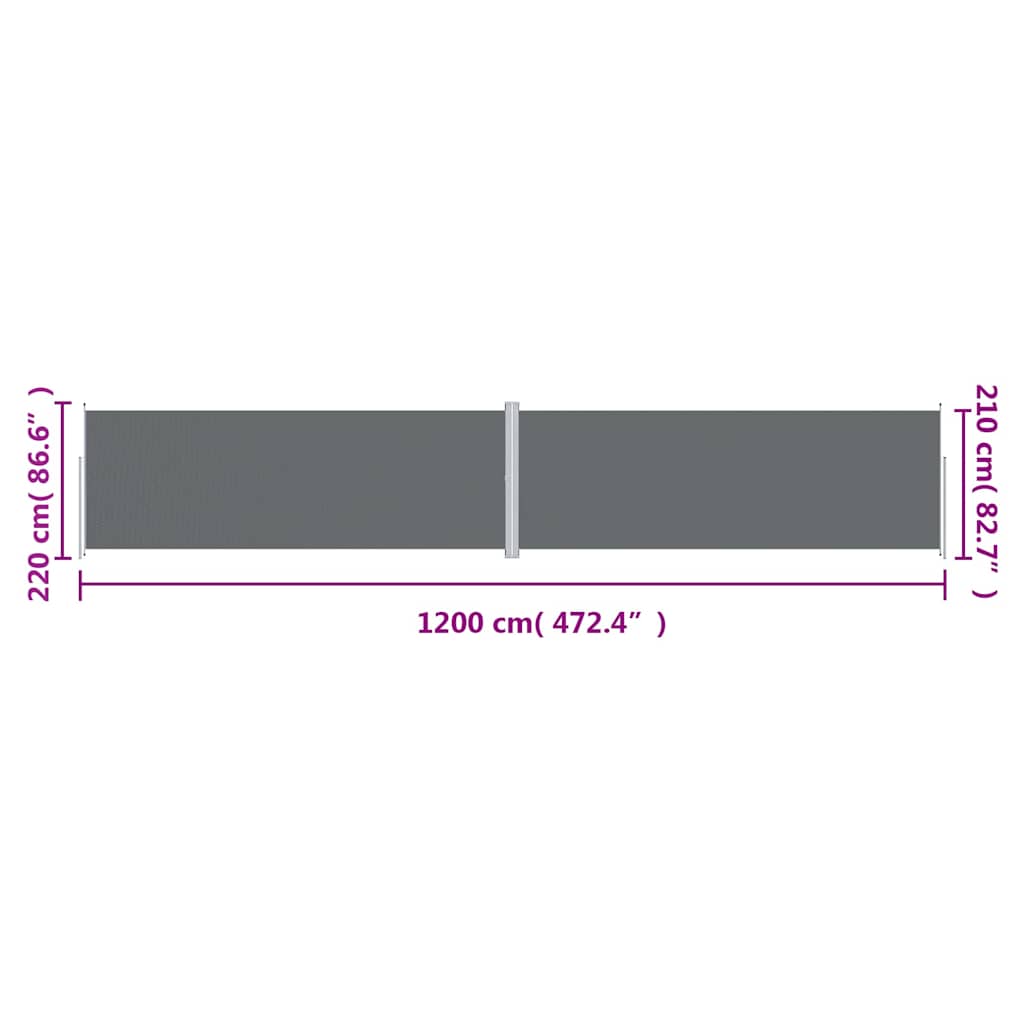 Tenda da Sole Laterale Retrattile Antracite 220x1200 cm | homemem39