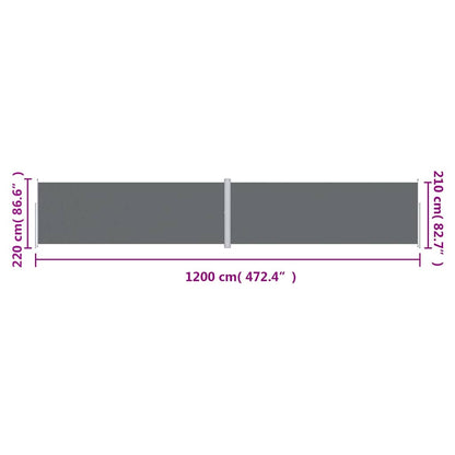 Tenda da Sole Laterale Retrattile Antracite 220x1200 cm | homemem39