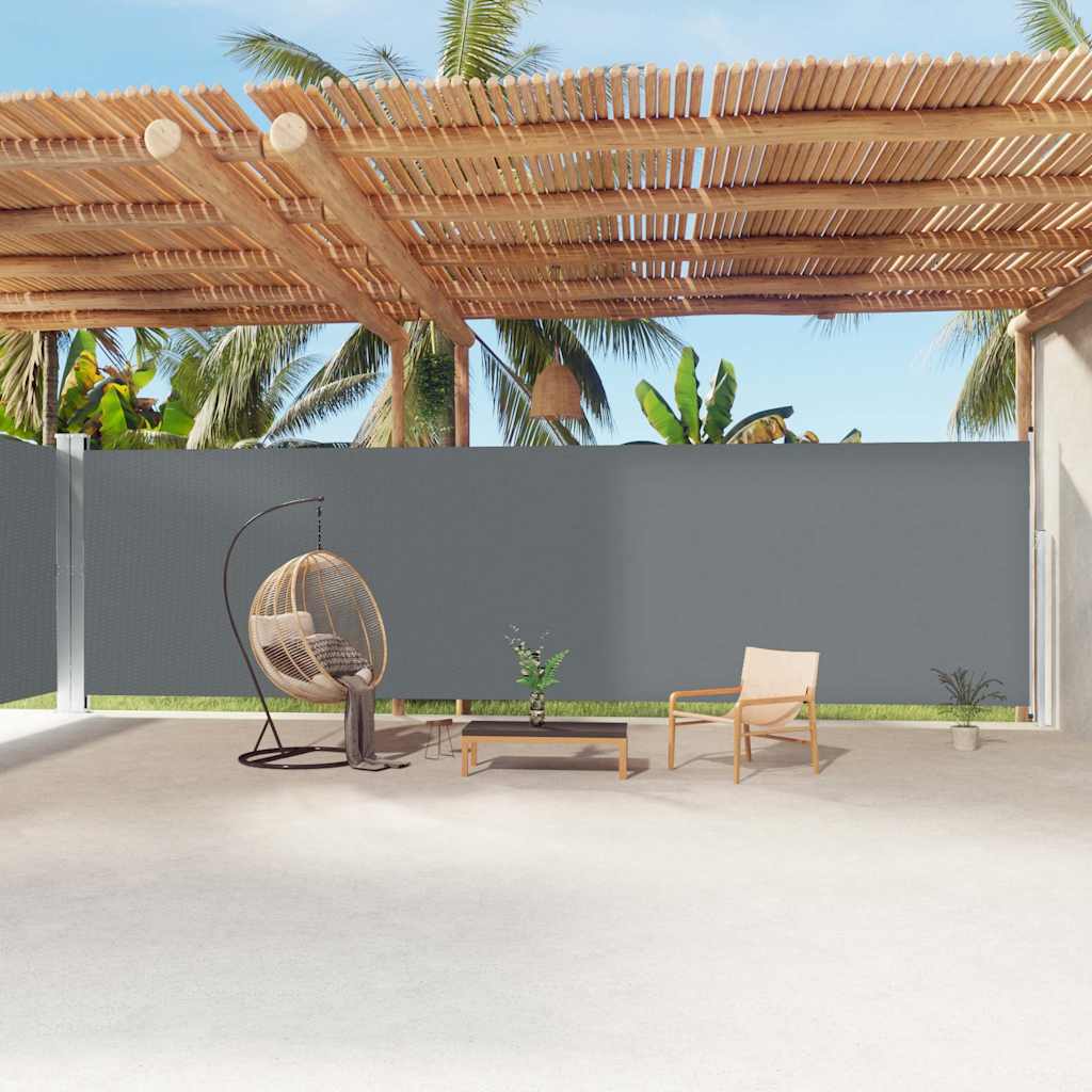 Tenda da Sole Laterale Retrattile Antracite 220x1200 cm | homemem39