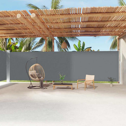 Tenda da Sole Laterale Retrattile Antracite 220x1200 cm | homemem39