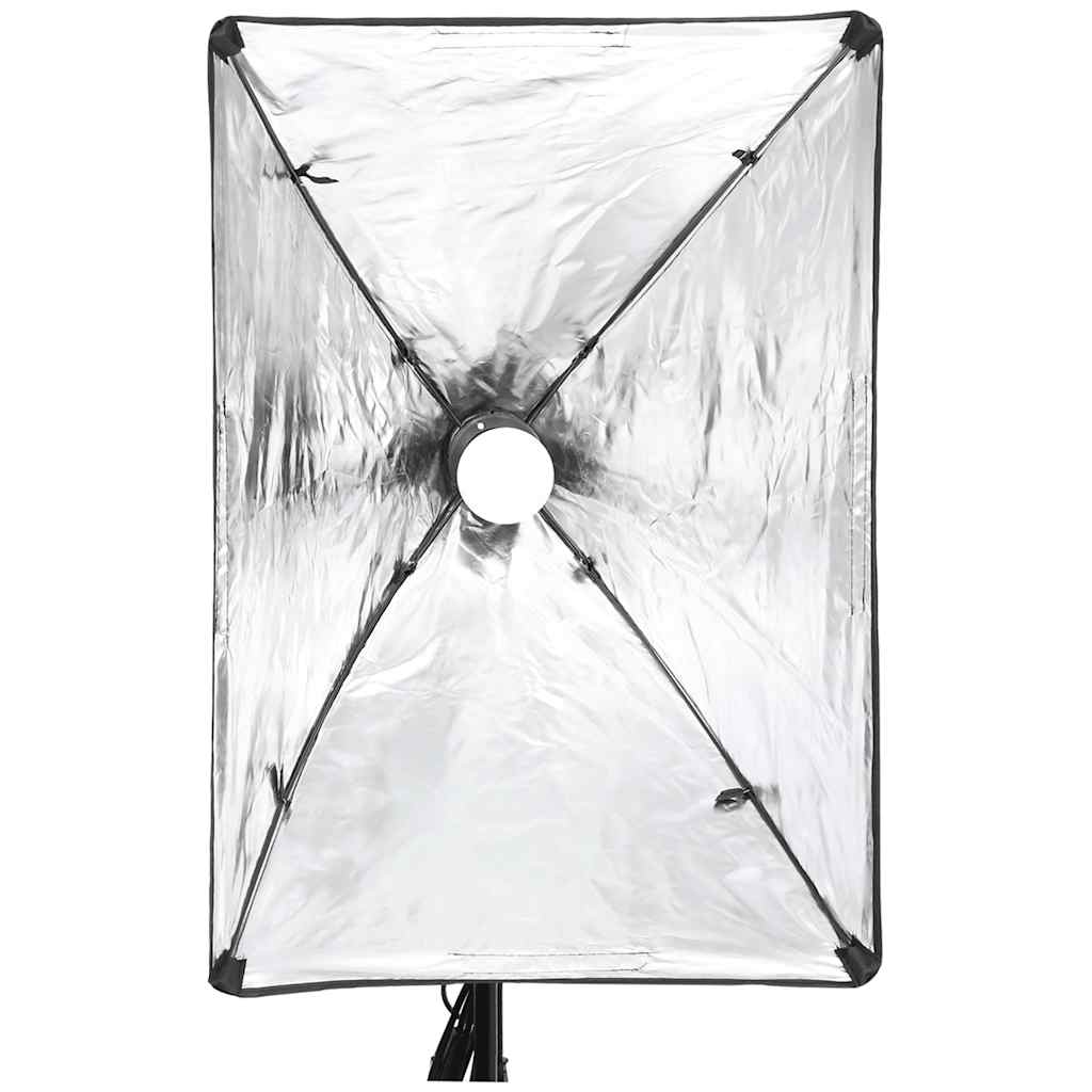 Kit di Illuminazione da Studio con Fondali e Softbox - homemem39