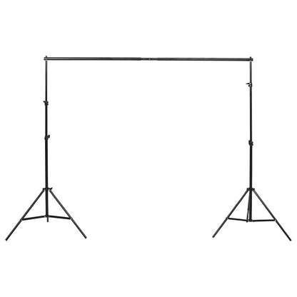 Kit di Illuminazione da Studio con Fondali e Softbox - homemem39