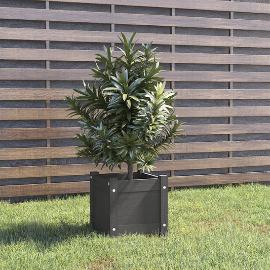 Fioriera da Giardino Grigia 31x31x31 cm Legno Massello di Pino - homemem39