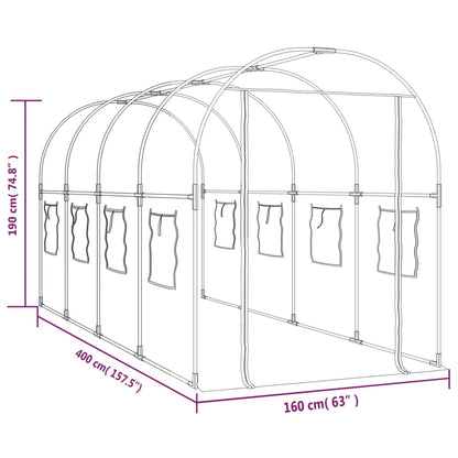 Serra Trasparente 160x400x190 cm PVC Acciaio Verniciato Polvere - homemem39
