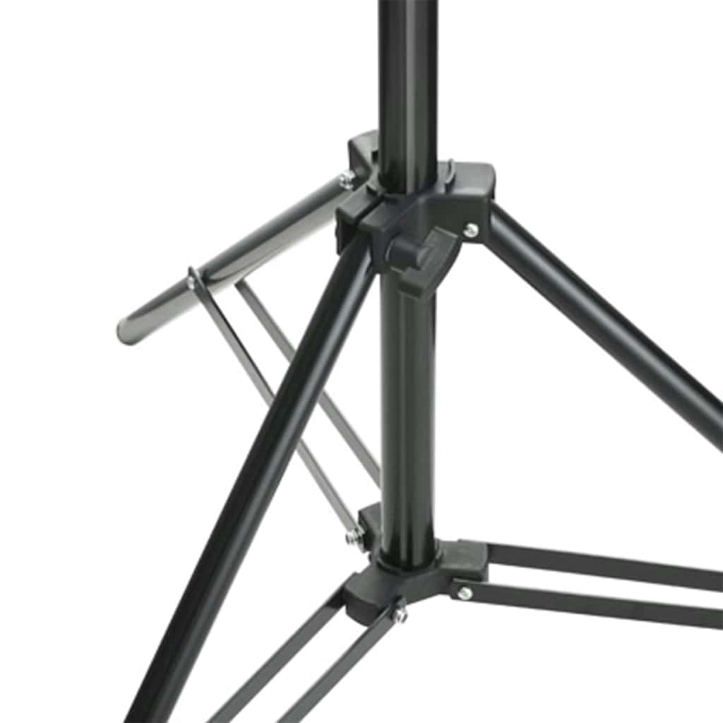 Kit per Studio Fotografico con Set di Luci e Fondale | homemem39