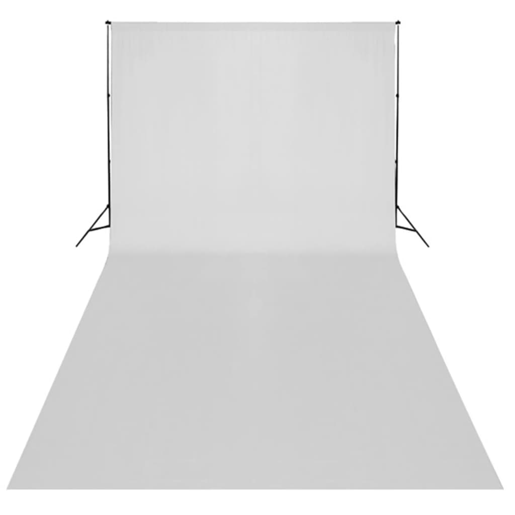 Kit per Studio Fotografico con Set Luci, Fondale e Riflettore