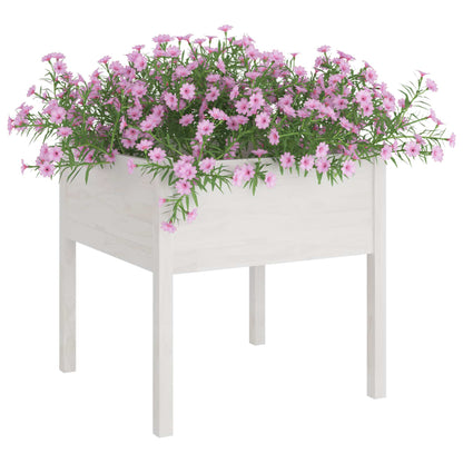 Fioriere da Giardino 2 pz Bianche 70x70x70 cm in Legno di Pino | homemem39