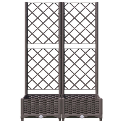 Fioriera da Giardino con Graticcio Marrone 80x40x121,5 cm in PP