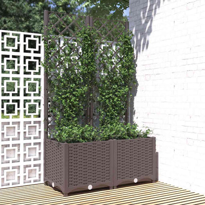Fioriera da Giardino con Graticcio Marrone 80x40x136 cm in PP | homemem39