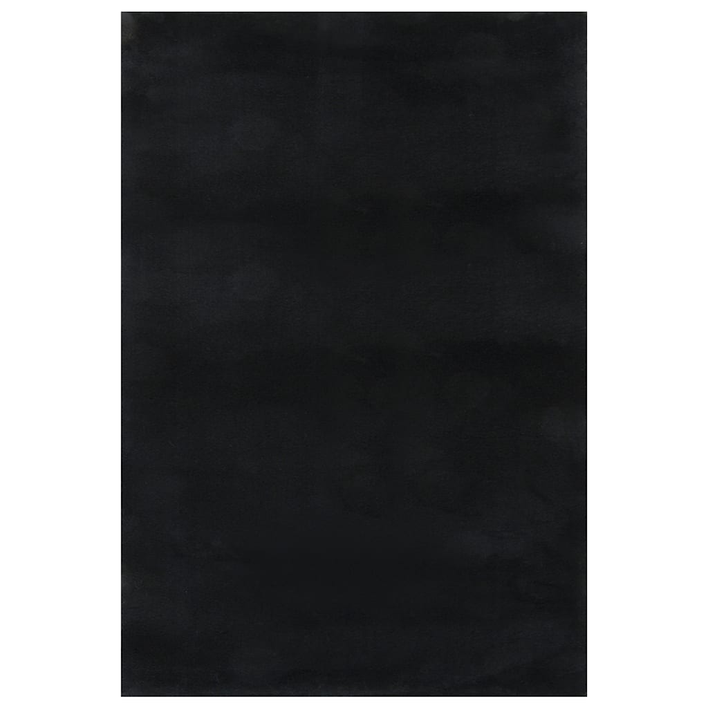 Tappeto Lavabile Soffice Pelo Corto 160x230 cm Antiscivolo Nero | homemem39