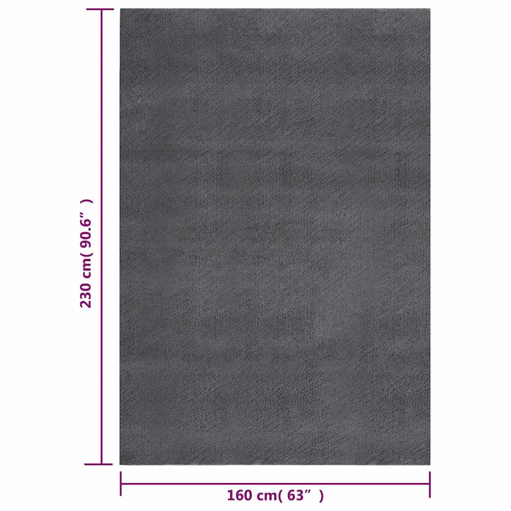 Tappeto Soffice Pelo Corto 160x230 cm Antiscivolo Antracite | homemem39