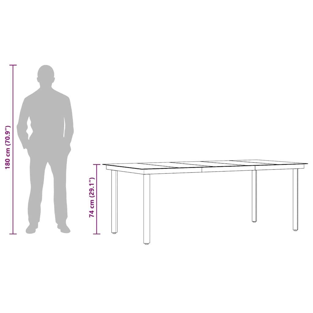 Tavolo da Pranzo da Giardino Nero 200x100x74 cm Acciaio e Vetro - homemem39