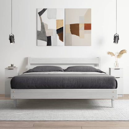 Credenze 2 pz Bianche 30x30x70 cm in Legno Multistrato - homemem39