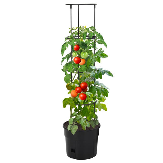 Vaso a Torre per Pomodori Antracite Ø29,5x115 cm Polipropilene - homemem39