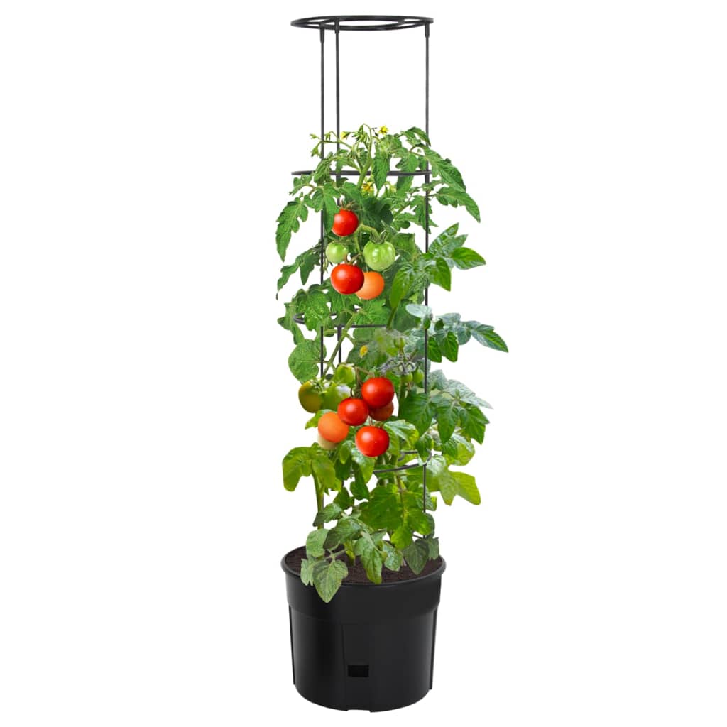Vaso a Torre per Pomodori Antracite Ø39x150 cm Polipropilene | homemem39