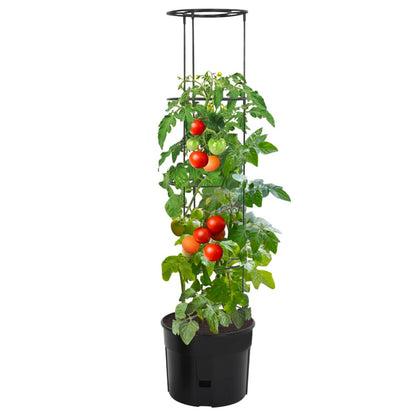 Vaso a Torre per Pomodori Antracite Ø39x150 cm Polipropilene | homemem39