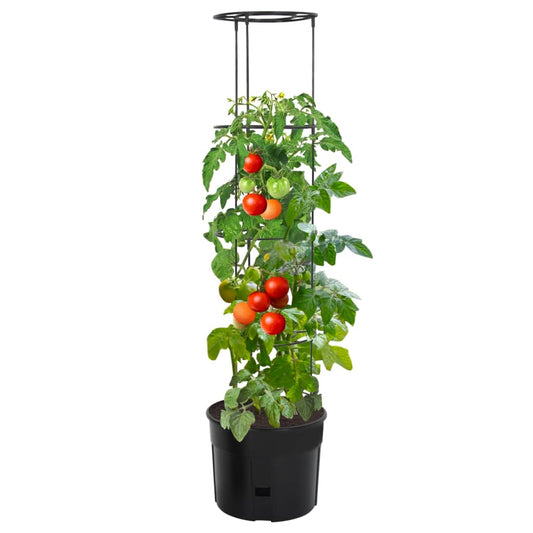 Vaso a Torre per Pomodori Antracite Ø39x150 cm Polipropilene | homemem39