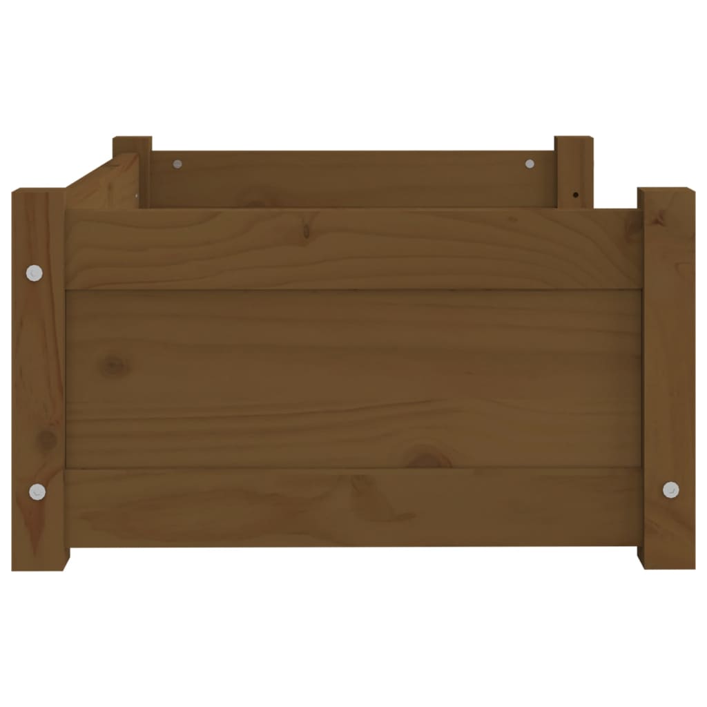 Cuccia per Cani ambra 65,5x50,5x28cm in Legno Massello di Pino - homemem39