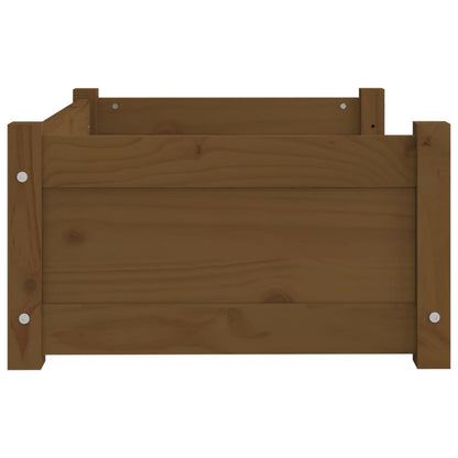 Cuccia per Cani ambra 65,5x50,5x28cm in Legno Massello di Pino - homemem39