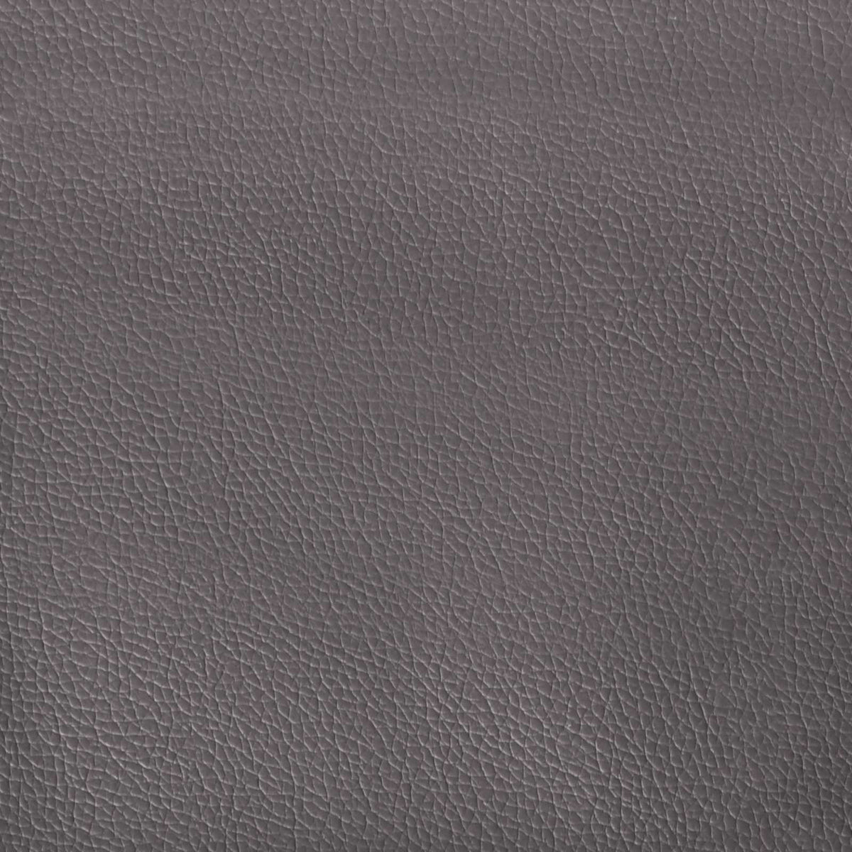 Orecchia della Testata Grigio PVC | homemem39