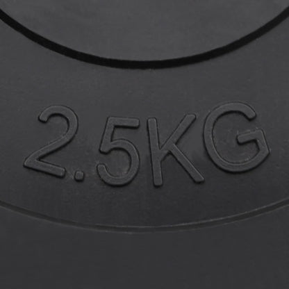 Dischi per Pesi 6 pz 30 kg in Cemento | homemem39