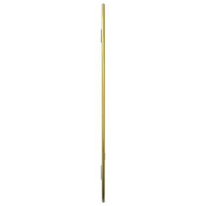 Specchio da Parete Dorato 40x30 cm | homemem39