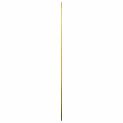 Specchio da Parete Dorato 70x45 cm | homemem39