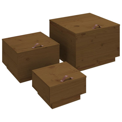 Contenitori Portaoggetti Coperchi 3pz ambra Legno Massello Pino | homemem39