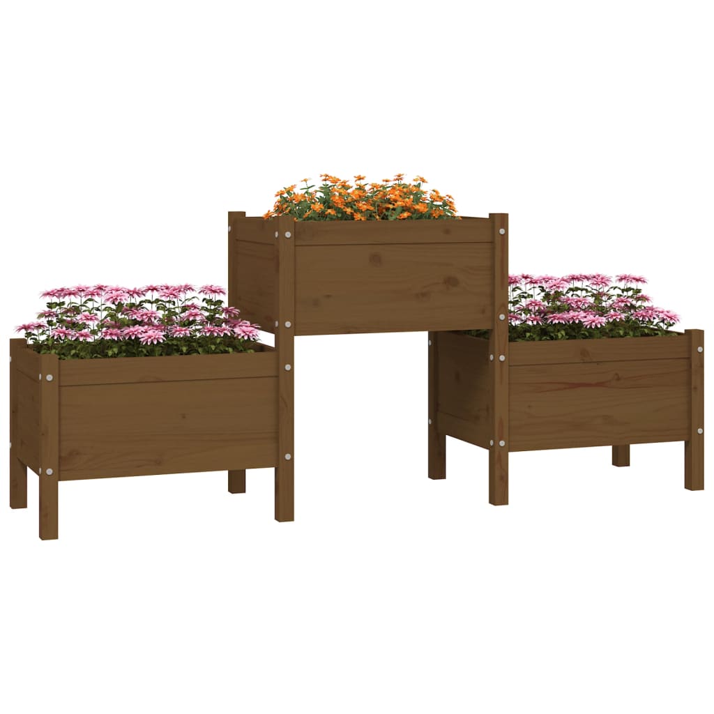 Fioriera Marrone Ambra 178,5x44x75 cm in Legno Massello di Pino - homemem39