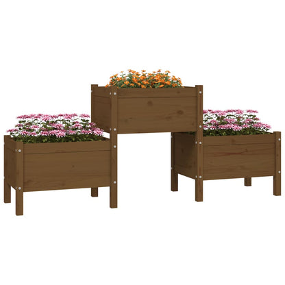 Fioriera Marrone Ambra 178,5x44x75 cm in Legno Massello di Pino - homemem39
