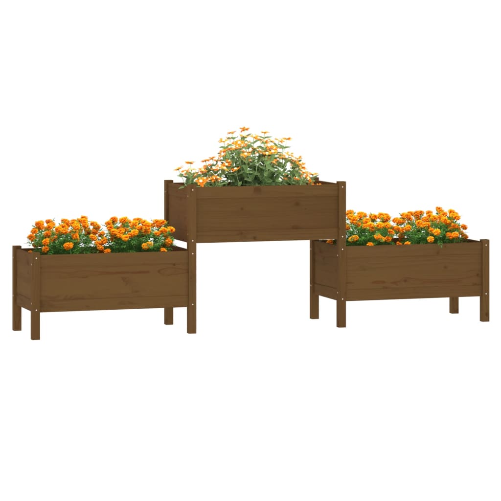 Fioriera Marrone Ambra 245,5x44x75 cm in Legno Massello di Pino - homemem39