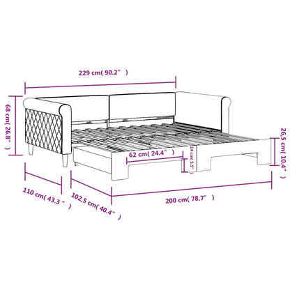 Divano Letto con Letto Estraibile Grigio Scuro 100x200 Velluto | homemem39