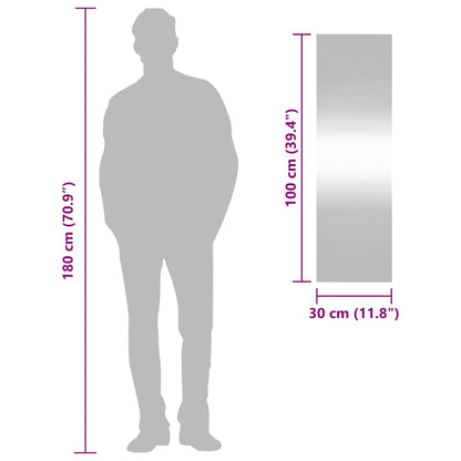 Specchio da Parete 30x100 cm Vetro Rettangolare