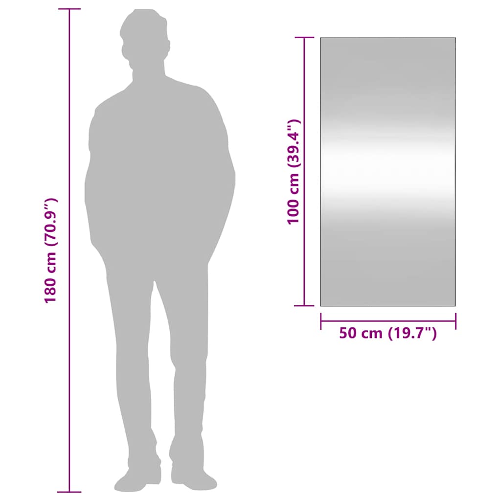 Specchio da Parete 50x100 cm Vetro Rettangolare | homemem39