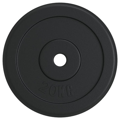 Disco per Pesi 40 kg in Ghisa | homemem39