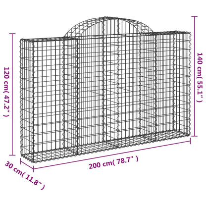 Cesti Gabbioni ad Arco 30 pz 200x30x120/140 cm Ferro Zincato | homemem39