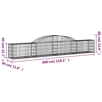 Cesti Gabbioni ad Arco 13 pz 300x30x40/60 cm Ferro Zincato - homemem39