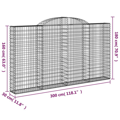 Cesti Gabbioni ad Arco 2 pz 300x30x160/180 cm Ferro Zincato