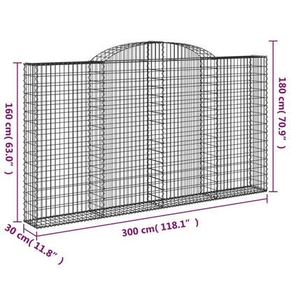 Cesti Gabbioni ad Arco 9 pz 300x30x160/180 cm Ferro Zincato