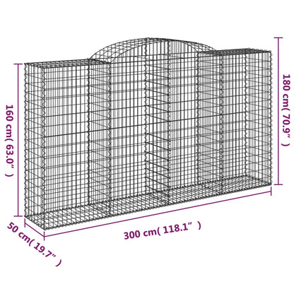 Cesti Gabbioni ad Arco 17 pz 300x50x160/180 cm Ferro Zincato | homemem39